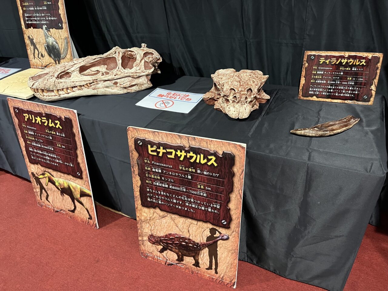 260717恐竜パーク6