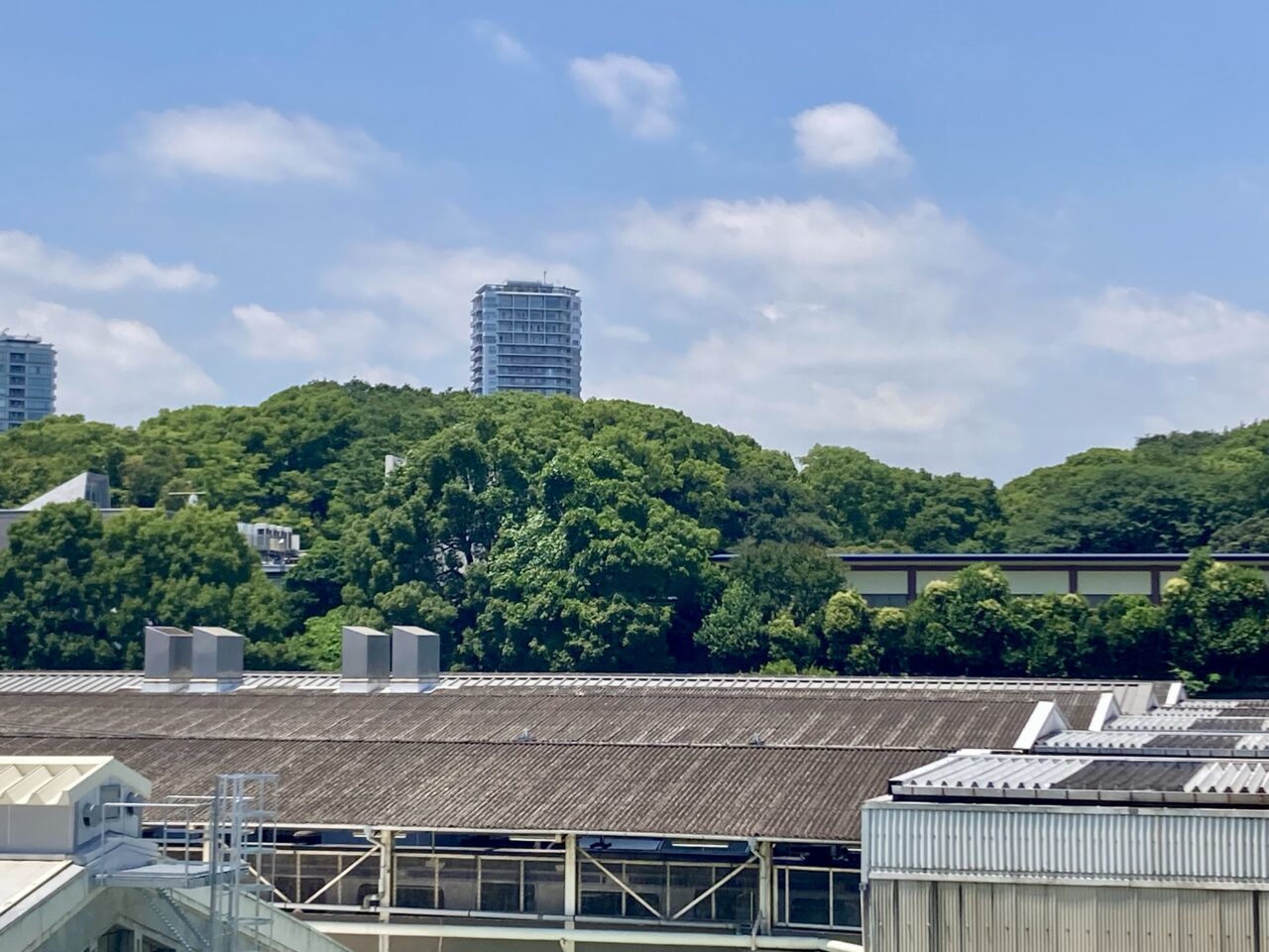 260709日本芸術院8