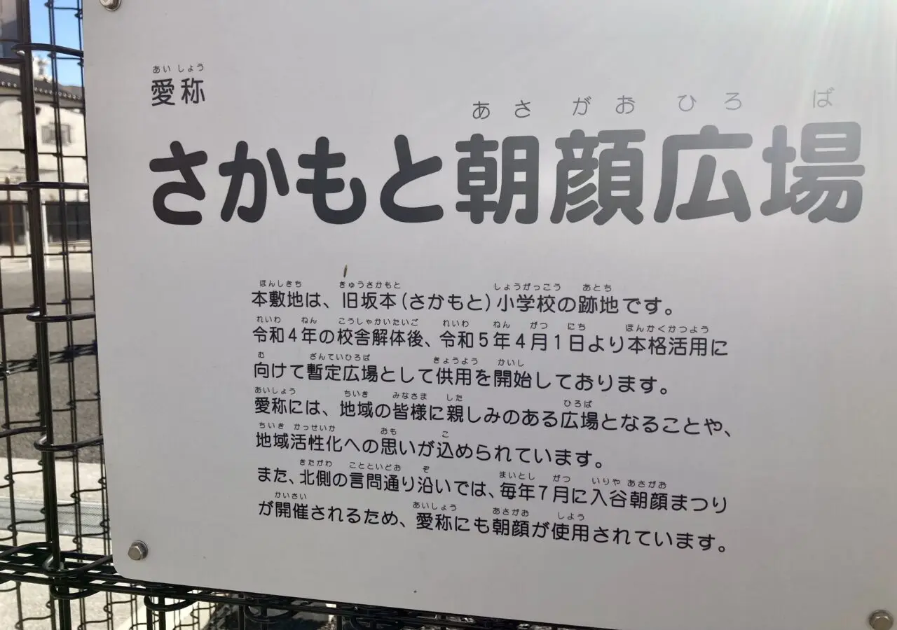 261029さかもと朝顔2