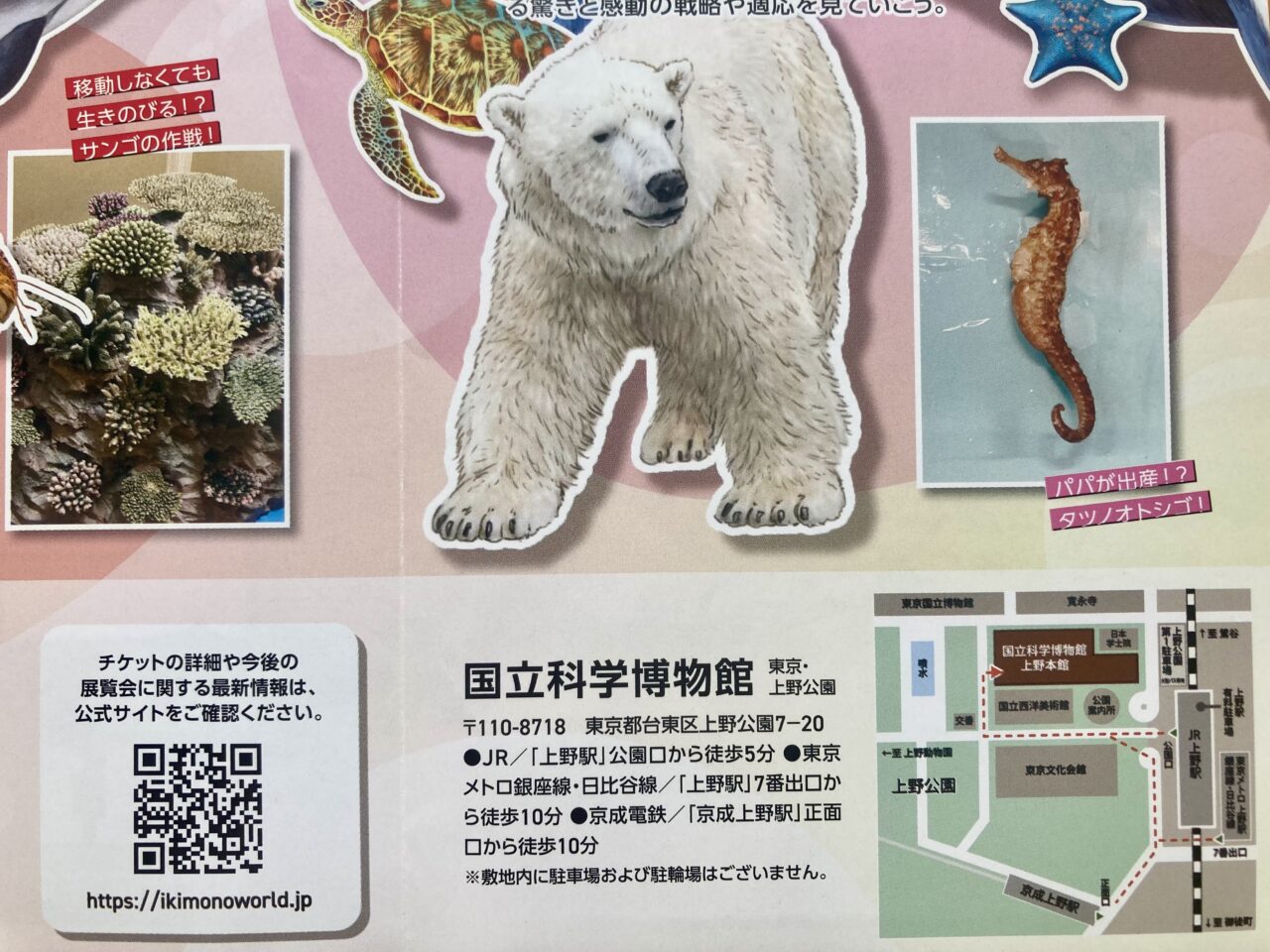 260930いきもの6