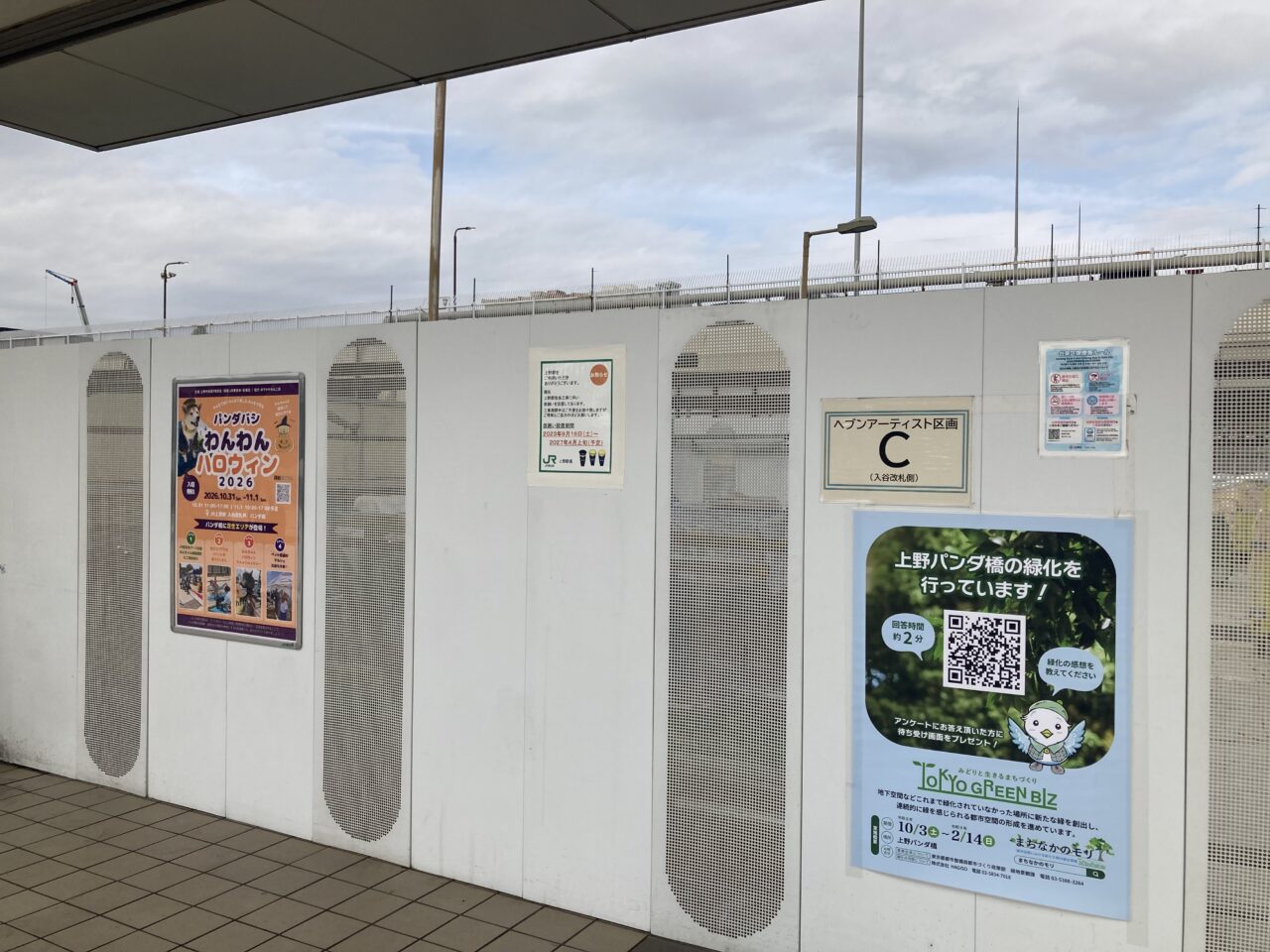261028パンダ橋6