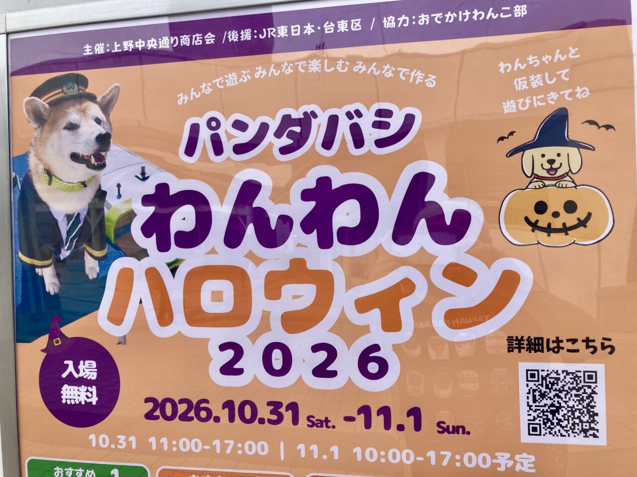 261028パンダ橋1