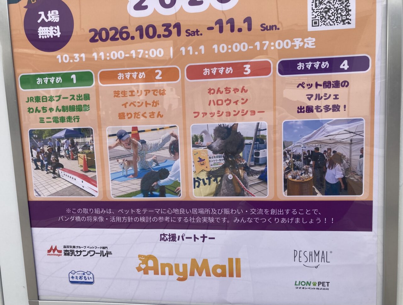 261028パンダ橋5